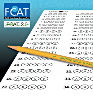 FCAT paper test image