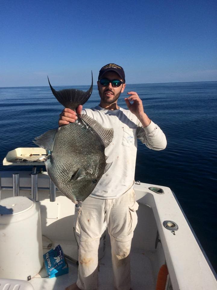 Cleaning Triggerfish is easier than you think!!!