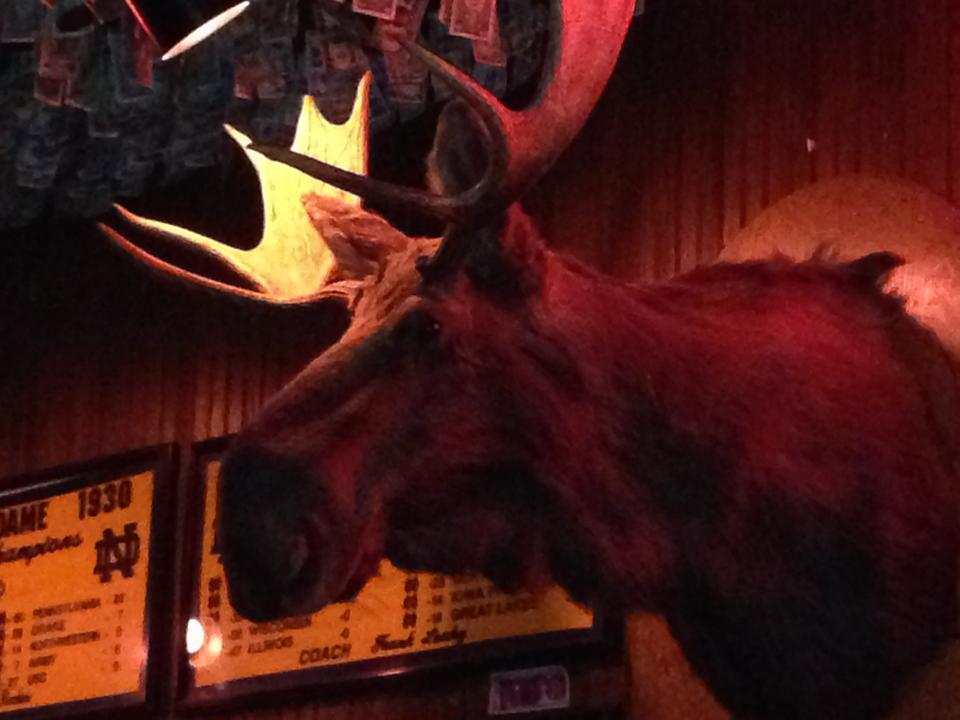 The Moose at McGuires Pensacola