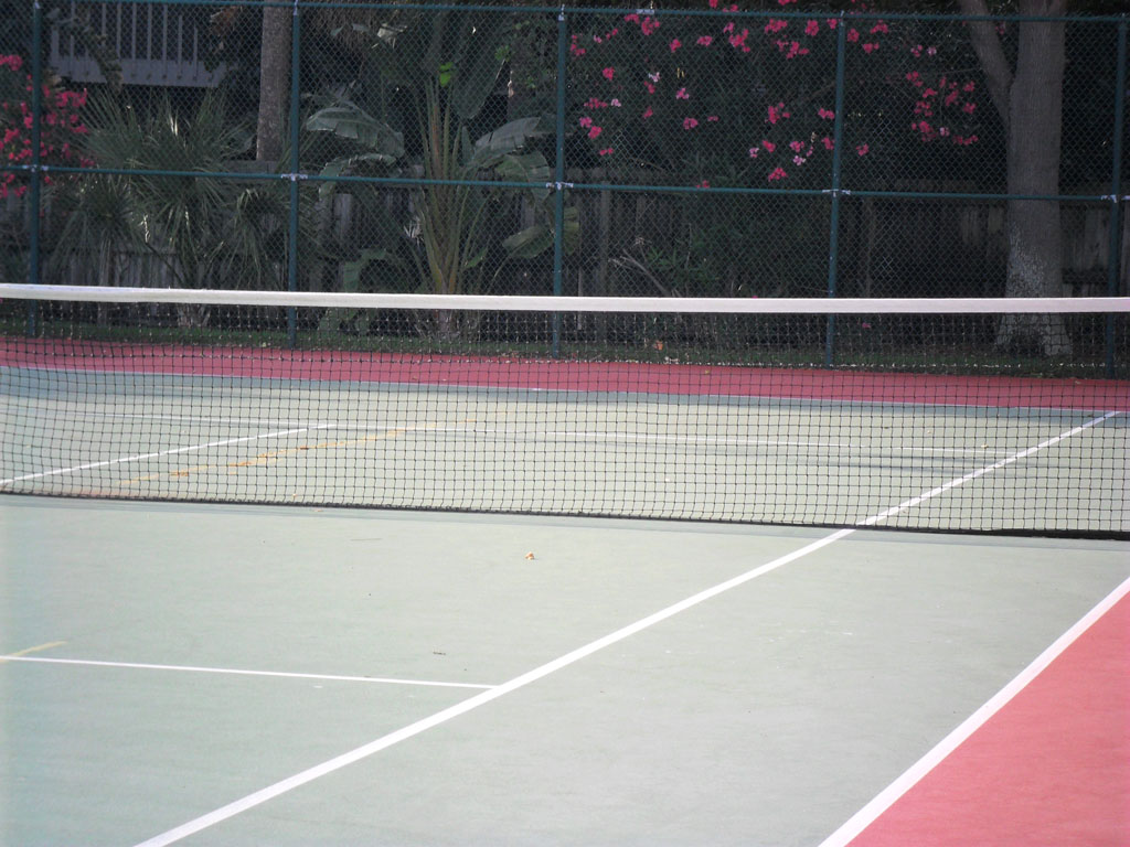 Tennis Courts on the Grounds