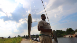 man holds up big fish caught on fishing pole