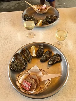 Oysters and white wine