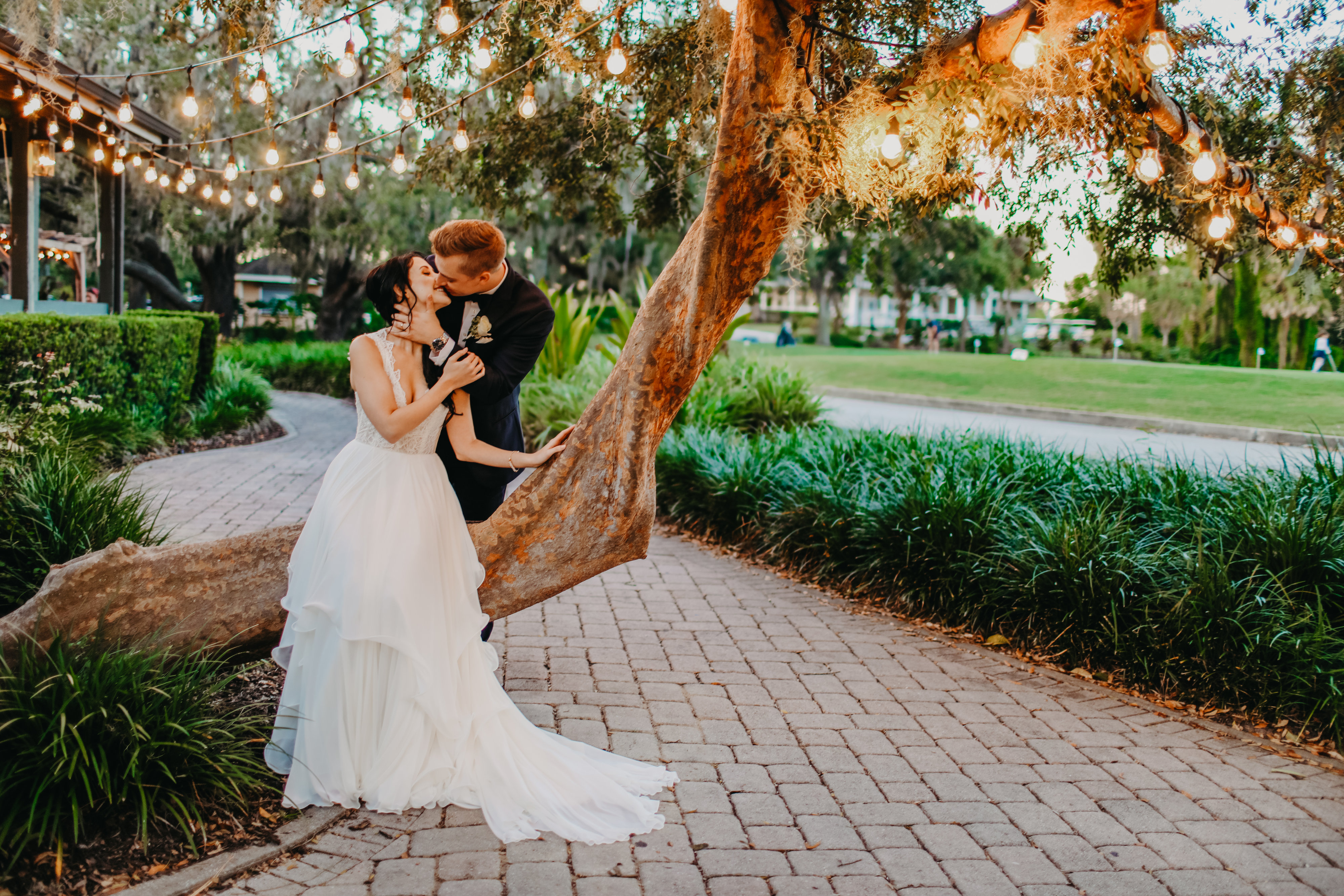 bride and groom kiss under a tree
