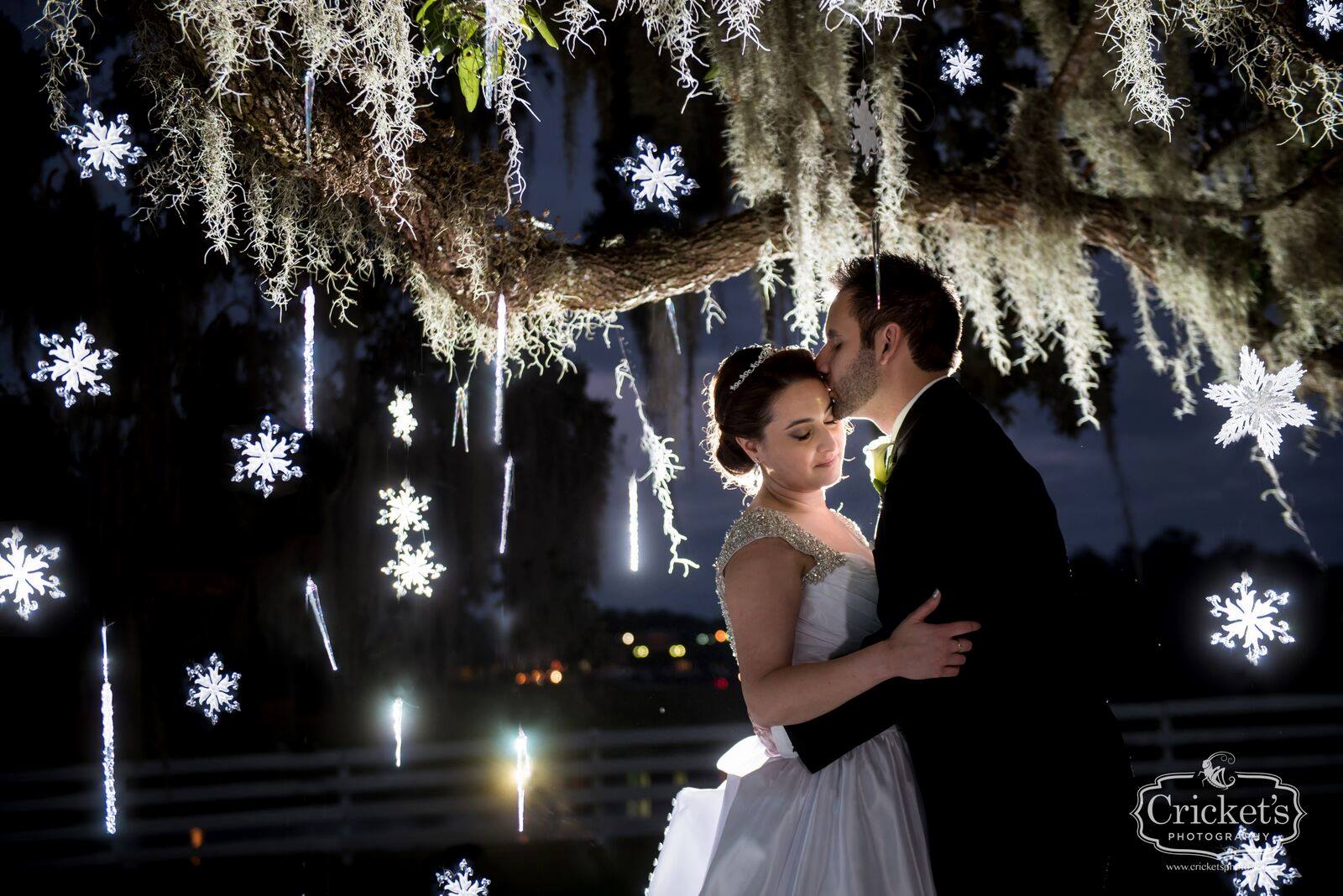 bride and groom holding each other under a tree at night