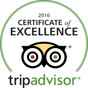 tripadvisor 2016 certificate of excellence logo
