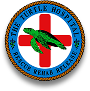The Turtle Hospital Logo