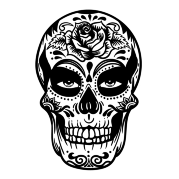 image of human skull with pretty design and flower decor