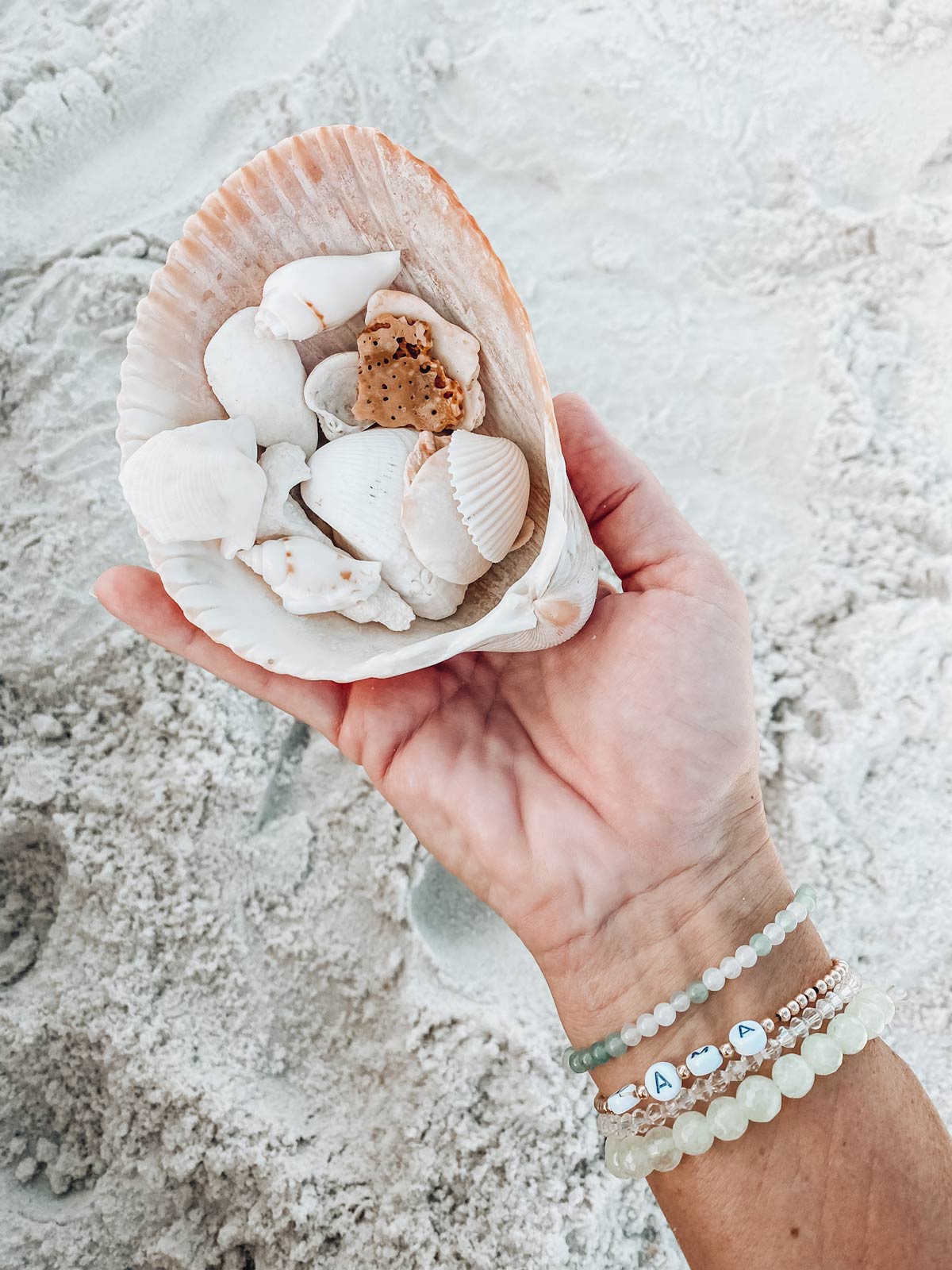 a handful of shells