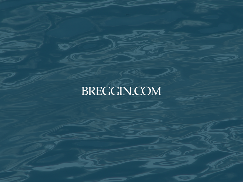 Breggin Logo